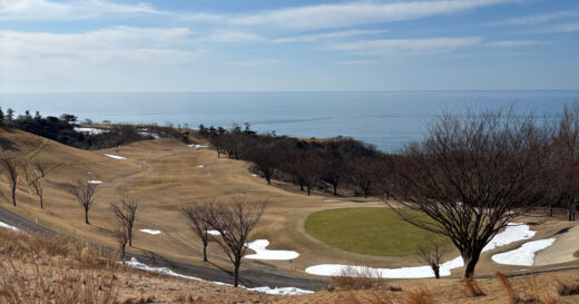 2月20日の積雪状況について